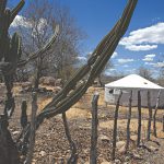 Implantação de cisternas para consumo humano ou de segunda água para irrigação de quintais produtivos é reconhecida pela ONU como política pública mais adequada para regiões em processo de desertificação ( Foto: Cid Barbosa )