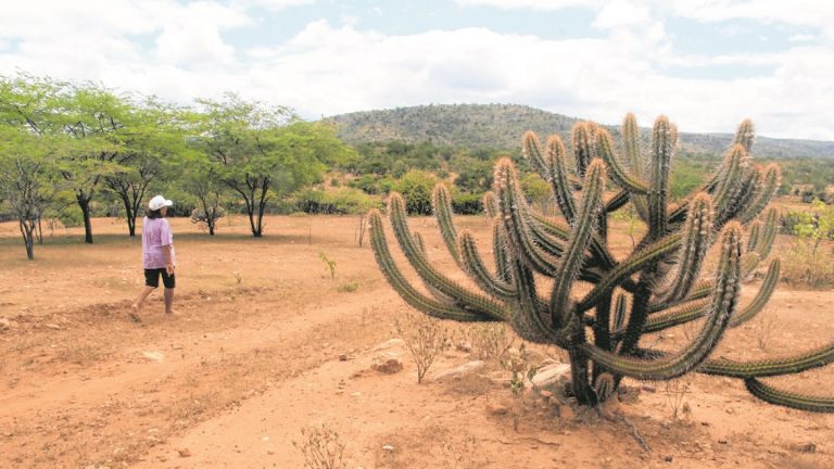 Ausência do El Niño e La Niña modifica análise para quadra chuvosa