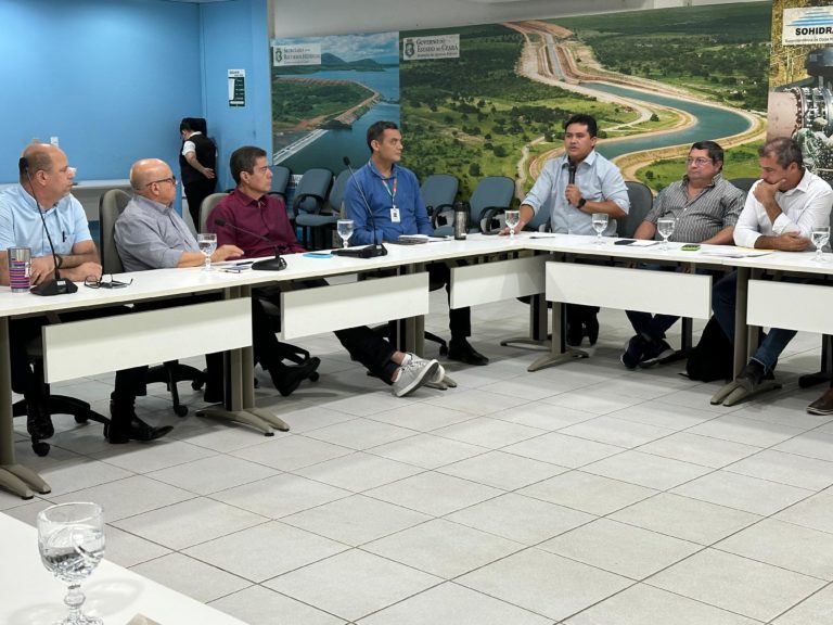 SRH, Cogerh e Comitês de Bacias discutem demandas hídricas do estado
